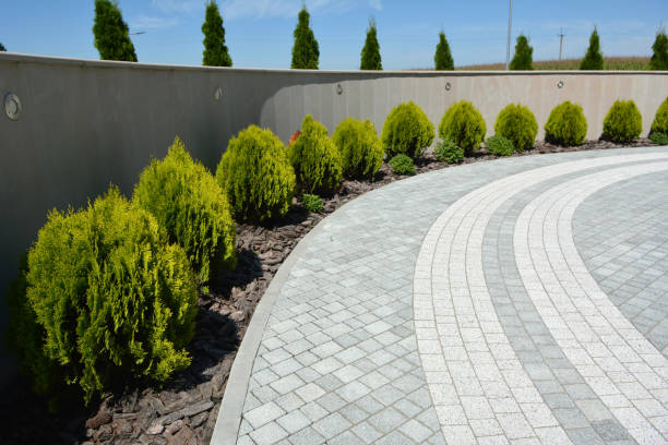 Best Decorative Driveway Pavers  in Newtown, PA